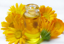 How to Stay Healthy During Cold and Flu Season