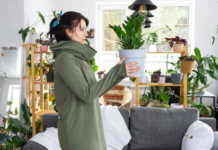 5 Tips to Improve the Aesthetic Appeal of Your House