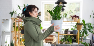 5 Tips to Improve the Aesthetic Appeal of Your House