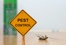 Why Pest Control Is Important