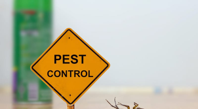 Why Pest Control Is Important