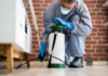 5 Pest Removal Services You Might Need