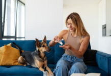 Essential Health Products for Dogs: Keeping Your Pet Happy and Healthy