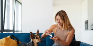 Essential Health Products for Dogs: Keeping Your Pet Happy and Healthy