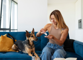 Essential Health Products for Dogs: Keeping Your Pet Happy and Healthy